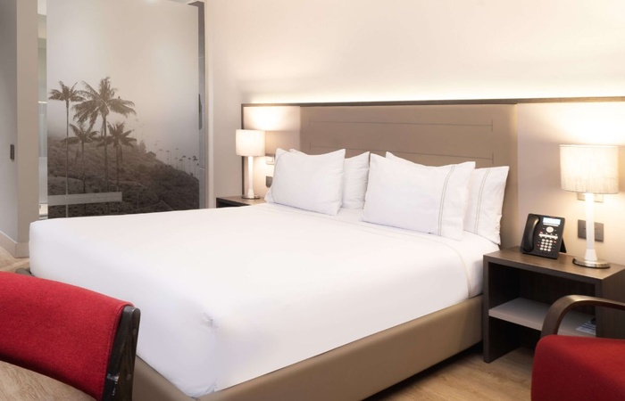 Executive Queen Habitel Prime Hotel Bogotá